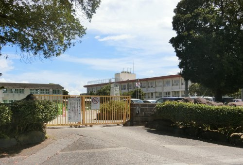 【小学校】鹿児島市立錦江台小学校まで1228ｍ