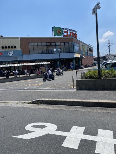 【スーパー】スーパーマーケット　コノミヤ　高槻店まで959ｍ