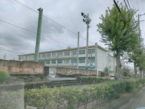 【小学校】静岡市立清水浜田小学校まで868ｍ