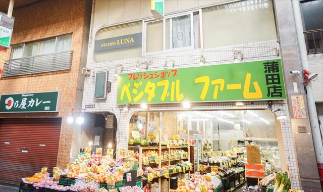【その他】ベジタブルファーム　蒲田店(八百屋)まで266ｍ