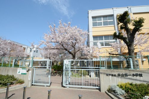 【小学校】神戸市立本山第一小学校まで503ｍ