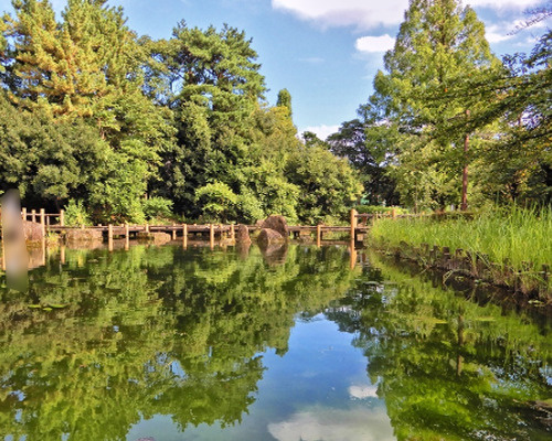 【公園】菖蒲池まで348ｍ