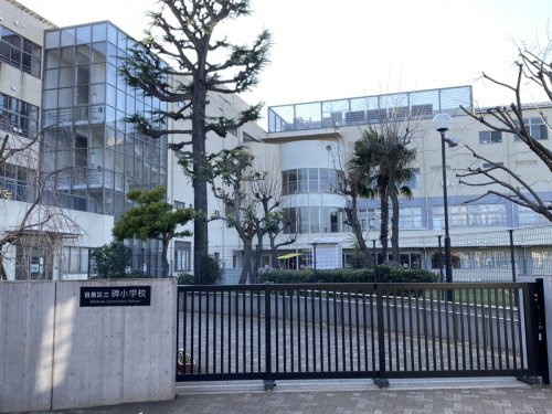 【小学校】目黒区立碑小学校まで501ｍ