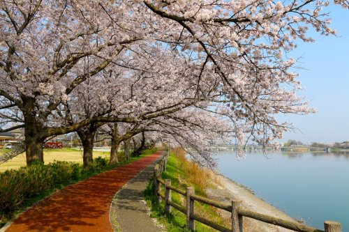 【公園】砂沼広域公園まで5230ｍ