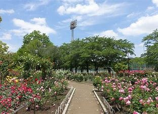【公園】光綾公園まで289ｍ
