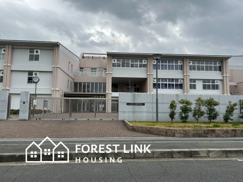 【中学校】八尾市立桂中学校まで462ｍ