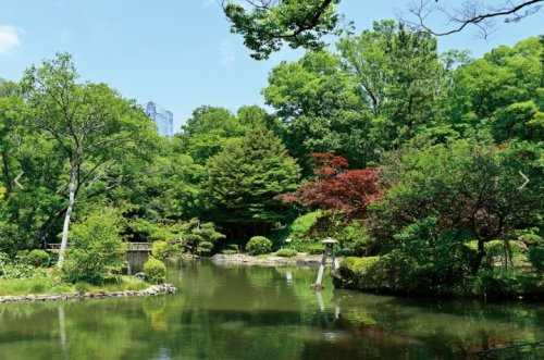 【公園】有栖川宮記念公園まで1474ｍ
