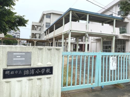 【小学校】明石市立錦浦小学校まで1040ｍ