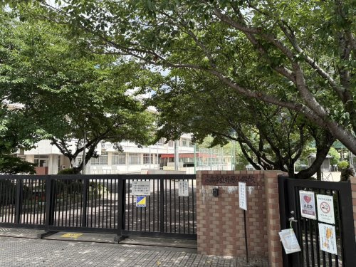 【小学校】広島市立井原小学校まで232ｍ