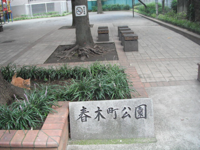 【公園】春木町公園まで299ｍ