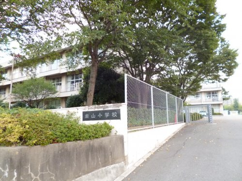 【小学校】白井市立南山小学校まで934ｍ