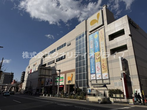 【スーパー】ダイエー東大島店まで591ｍ