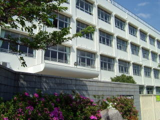 【小学校】落合東小学校まで578ｍ