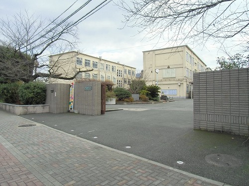 【中学校】京都市立高野中学校まで336ｍ