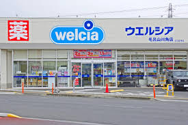 【ドラッグストア】ウエルシア毛呂山川角店まで2600ｍ