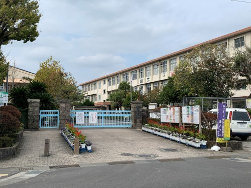 【小学校】鹿児島市立玉江小学校まで574ｍ