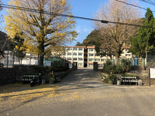 【中学校】鹿児島市立清水中学校まで1633ｍ