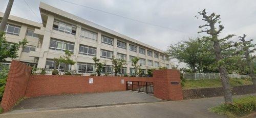【小学校】藤沢市立滝の沢小学校まで210ｍ