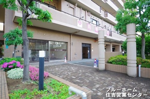 【総合病院】医療法人向坂医院まで546ｍ