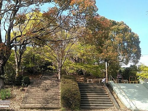 【公園】鳶尾中央公園まで1643ｍ