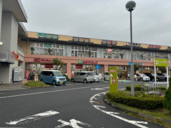 【ドラッグストア】スギドラッグ　鴻巣店まで1364ｍ