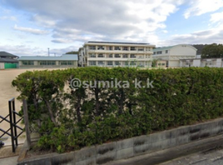 【小学校】海南市立亀川小学校まで1741ｍ