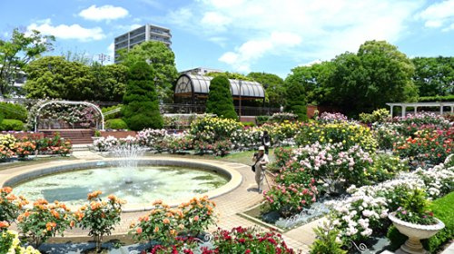 【公園】フラワーガーデンまで435ｍ