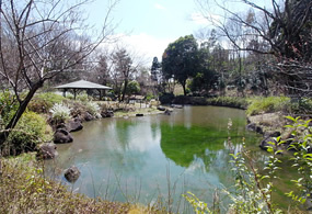 【公園】東中野公園まで346ｍ