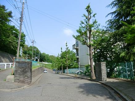 【中学校】薬師中学校まで795ｍ