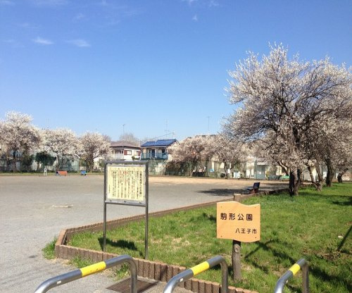 【公園】駒形公園まで5ｍ