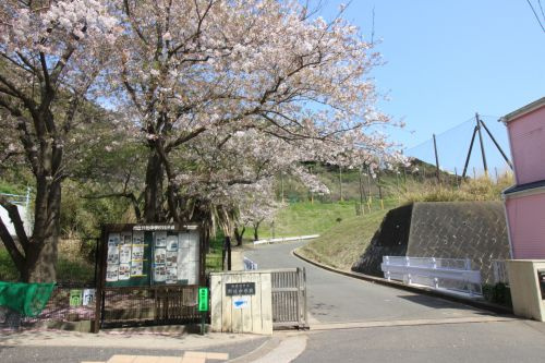【中学校】野比中学校まで1284ｍ