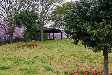 【公園】山王公園まで1955ｍ