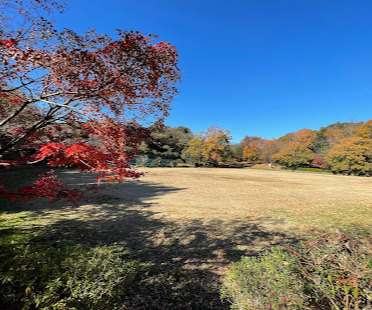 【公園】南志津公園まで1012ｍ