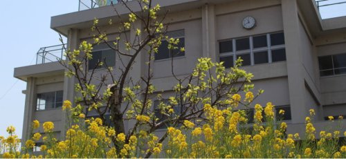 【小学校】富士市立天間小学校まで1284ｍ