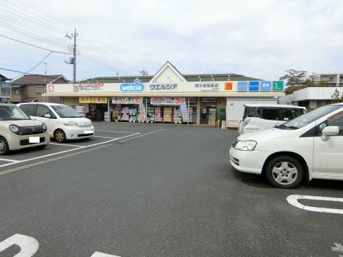 【ドラッグストア】ウエルシア鶴ヶ島藤金店まで392ｍ