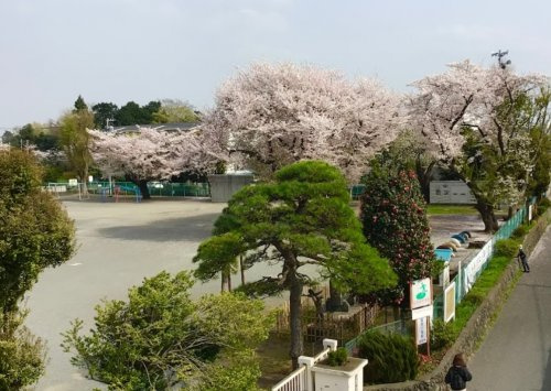 【小学校】栗原小学校まで1008ｍ