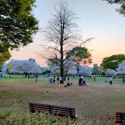 【公園】木場公園まで699ｍ