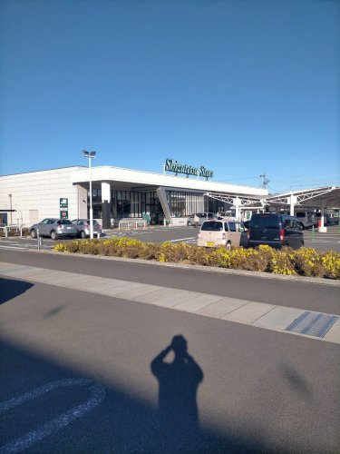 【スーパー】しずてつストア　藤枝高洲店まで280ｍ