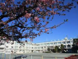 【小学校】世田谷区立等々力小学校まで531ｍ