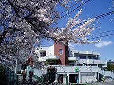 【幼稚園】幼保連携型認定こども園みどり幼稚園まで3142ｍ