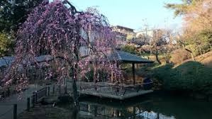 【その他】大倉山公園まで877ｍ