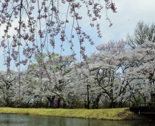 【公園】馬見塚公園まで2166ｍ