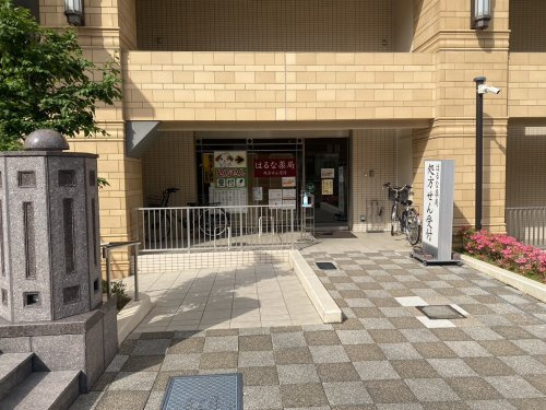 【ドラッグストア】はるな薬局宝塚店まで117ｍ