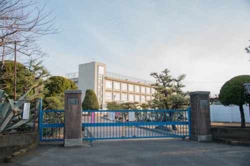 【小学校】平塚市立港小学校まで570ｍ