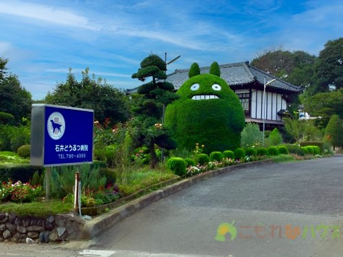 【動物病院】石井どうぶつ病院まで1411ｍ