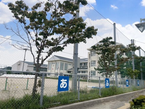 【小学校】醇風小学校まで869ｍ