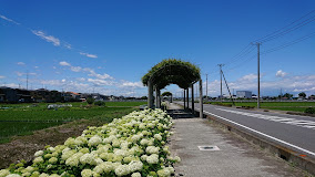 【公園】騎西中央公園まで575ｍ