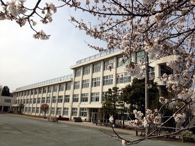 【小学校】羽村市立羽村東小学校まで850ｍ