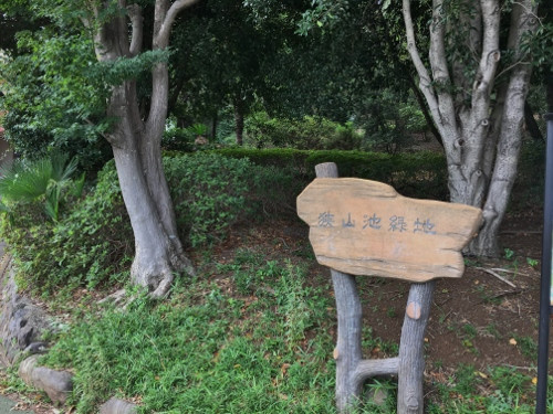 【公園】狭山池緑地まで309ｍ