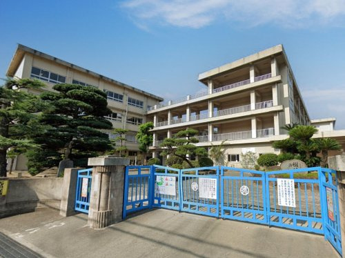 【小学校】福山市立樹徳小学校まで1469ｍ
